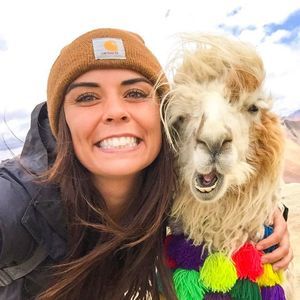 Meet your Posher, Chandler